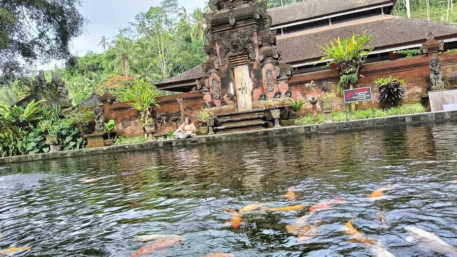 Ubud: Tirta Empul, Rice Terrace, Waterfall and Custom Tour - The Value of This Tour