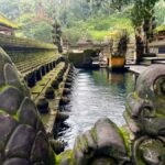 Ubud: Tirta empul temple, Rice terrace and Waterfall - What to Expect: A Breakdown of Each Stop