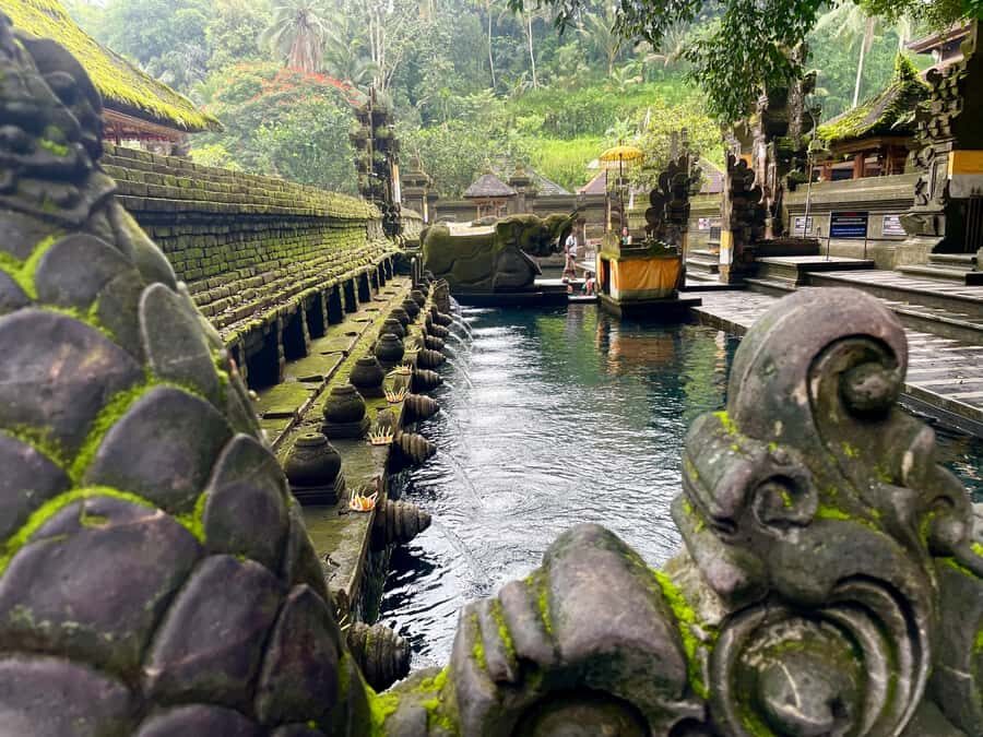 Ubud: Tirta empul temple, Rice terrace and Waterfall - What to Expect: A Breakdown of Each Stop