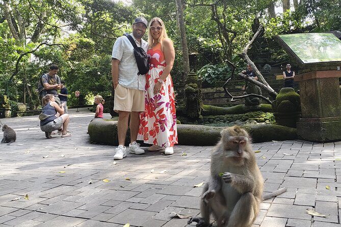 Ubud Tour Monkey Forest, Rice Terrace, Swing, Temple, Waterfall - Comfort, Cost, and Practicalities