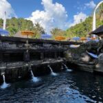 Ubud Tour Sacred Temple Waterfall Rice Terrace and Art Village - Practical Details & Tips