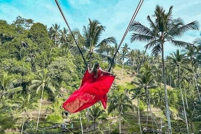 Ubud Tour with all includes - Additional Details: What the Tour Includes & Practical Tips