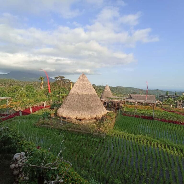 ubud trip monkey forest sanctuary - A Deep Dive into the 8-Day Bali Experience
