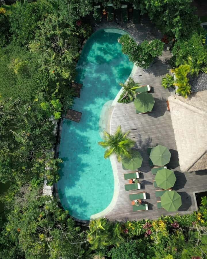 Ubud: Tropical Oasis Pool Bar Access & Dining E-Voucher - Authentic Insights from Reviewers