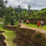Ubud: Uma Anyar Waterfall, Goa Gajah Temple & Rice Terrace - Authenticity and Value