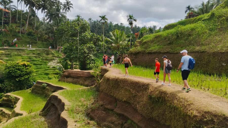 Ubud: Uma Anyar Waterfall, Goa Gajah Temple & Rice Terrace - Authenticity and Value