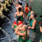 Ubud Village, Waterfall and Kintamani Volcano Private Tour - Easy and Flexible Pickup Options