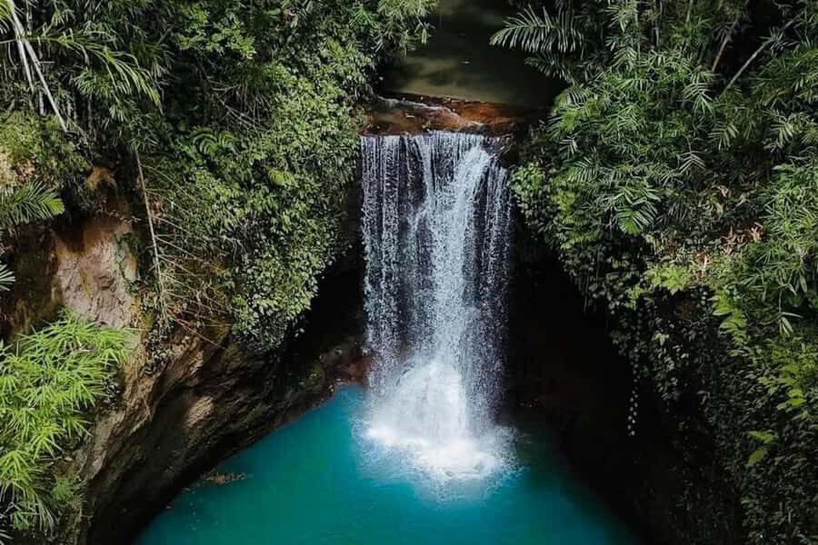 Ubud: Water Temple, Rice Terrace, Waterfall, Private Tour - Why This Tour Works