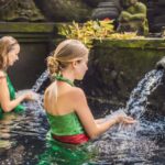 Ubud: Waterfall, Ricefield, Purification Ritual Private Tour - Practical Details and Insights