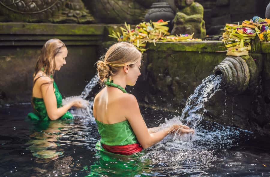 Ubud: Waterfall, Ricefield, Purification Ritual Private Tour - Practical Details and What to Expect