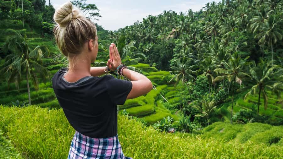 Ubud: Waterfall, Water Temple and Monkey forest Private Tour - Practical Details and Logistics