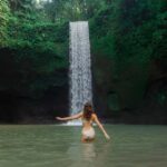 Ubud: Waterfalls, Temple, Monkey Forest Private Tour - What to Expect from the Tour