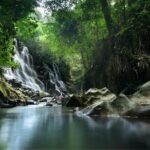 Ubud Waterfalls Water Temple and Rice Terraces Tour - Exploring the Itinerary in Detail
