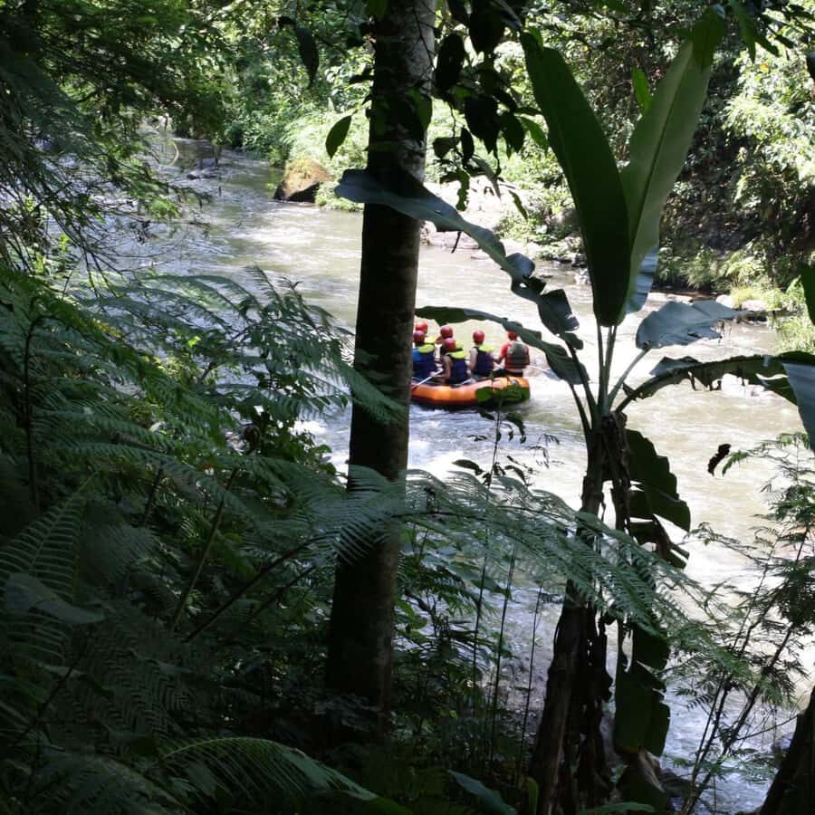 Ubud: White Water Rafting Adventure Tour - Practical Details and Logistics