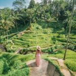 Ubud: Zip-Line, Sacred Temple, and Monkey Forest Tour - Detailed Breakdown of the Itinerary