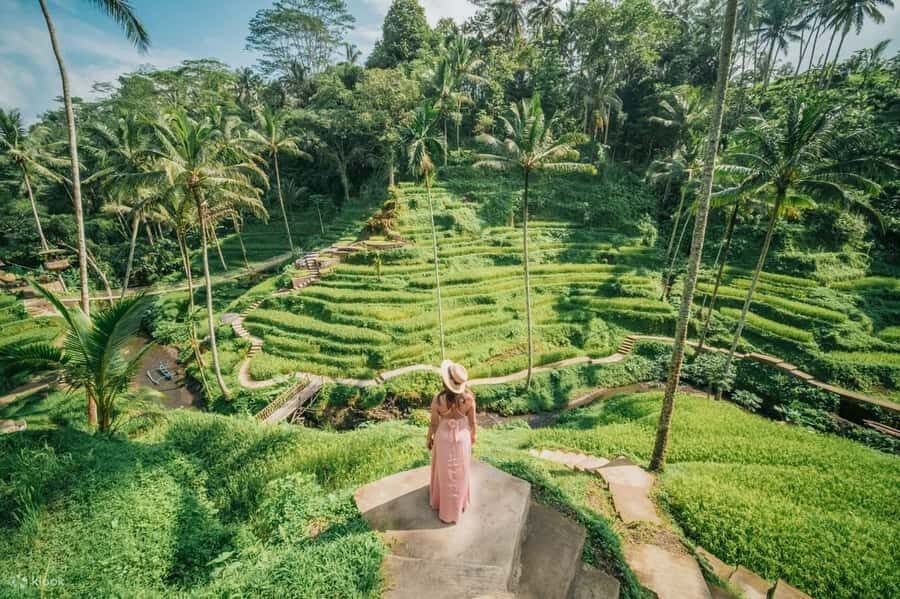 Ubud: Zip-Line, Sacred Temple, and Monkey Forest Tour - Detailed Breakdown of the Itinerary