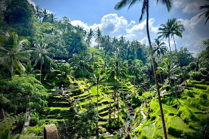 Ubud Zipline,Alas Harum combo experience with Private Car, Bali - The Itinerary Breakdown