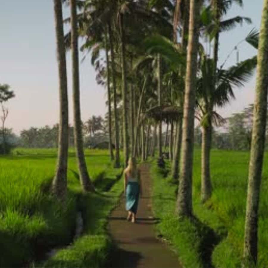 Ubud:Cultural day tour with traditional Balinese house visit - Practical Details and Why They Matter