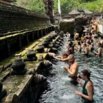 Ubud:private tour riceterace&swing waterfall& tirta empul - Final Thoughts: Who Will Love This Tour?