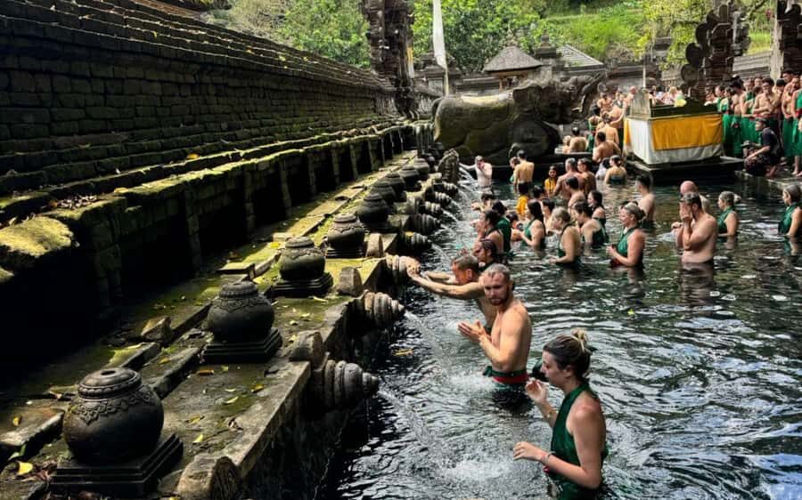 Ubud:private tour riceterace&swing waterfall& tirta empul - Final Thoughts: Who Will Love This Tour?