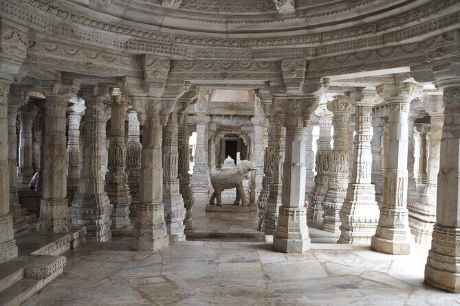 Udaipur to Kumbhalgarh and Ranakpur Day Tour with Wildlife - What the Tour Offers in Value