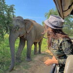 Udawalawa National Park: All Inclusive Safari Day Tour - What Does the Tour Include?