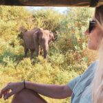 Udawalawe Day Trip from Kalutara - Who Should Consider This Tour?