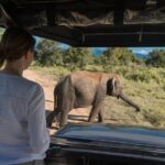 Udawalawe National Park Morning or Afternoon Game Drive - Final Thoughts: Is This Tour Worth It?
