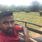Udawalawe National Park Safari Adventure ( privet tour) - The Heart of the Safari: What to Expect
