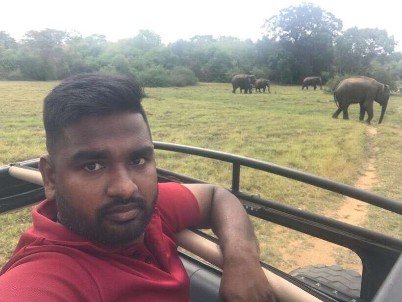 Udawalawe National Park Safari Adventure ( privet tour) - The Heart of the Safari: What to Expect