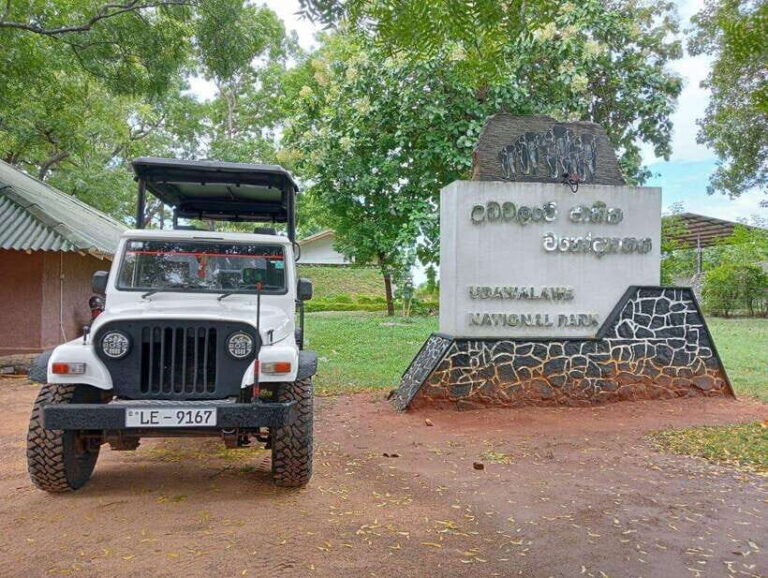 Udawalawe National Park Safari Adventure ( privet tour) - Authentic Experiences and Tips for Travelers