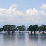 Udawalawe National Park Safari  Eco Jeep Adventure - The Itinerary and What to Expect