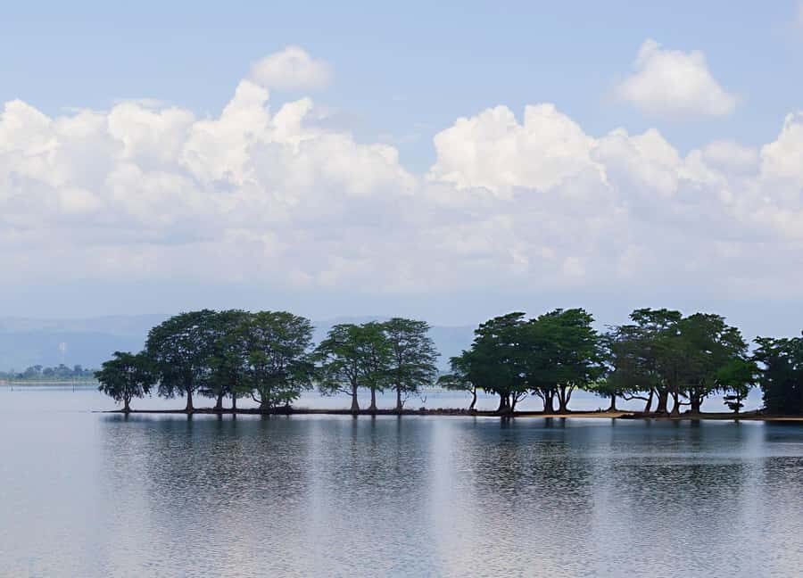 Udawalawe National Park Safari  Eco Jeep Adventure - The Itinerary and What to Expect