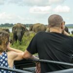 Udawalawe Safari Day Trip with Return Transport - All Inclusive - Who Should Consider This Tour?