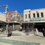 Ueno Park Ameyoko Market Walking Tour with Japanese Tokyo Local - The Sum Up: Who Should Consider This Tour?