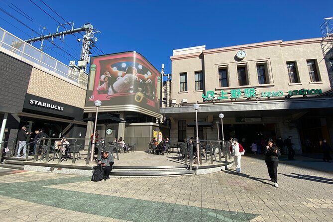 Ueno Park Ameyoko Market Walking Tour with Japanese Tokyo Local - The Sum Up: Who Should Consider This Tour?