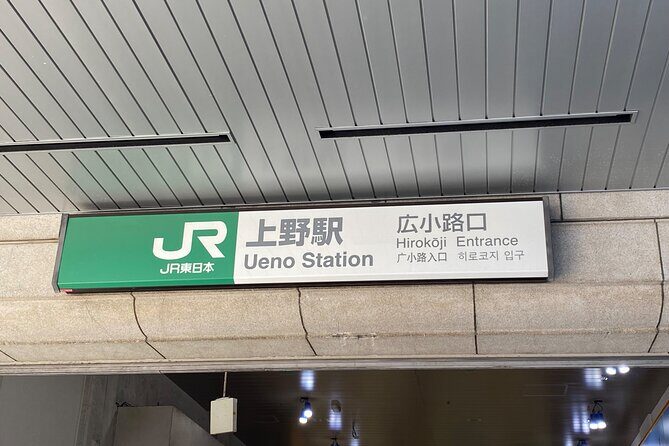 Ueno Park Ameyoko Market Walking Tour with Japanese Tokyo Local - The Itinerary in Detail