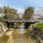 Uji: Tea Ceremony, Calligraphy, and Tea Field Walking Tour - Who Is This Tour For?