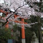 Uji: UNESCO Heritage & Tea Ceremony Walking Tour - Experience a Traditional Tea Ceremony at Taihoan