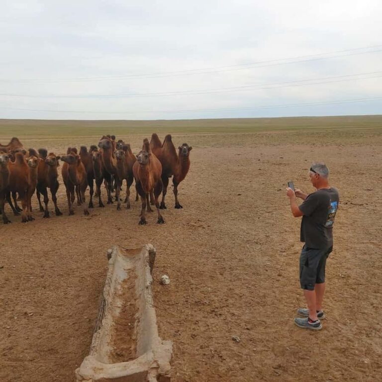 Ulaanbaatar: Khustai NP, Semi Gobi & Kharkhorin Tour - Day 1: From Ulaanbaatar to Khustai NP, Semi Gobi, and Dunes