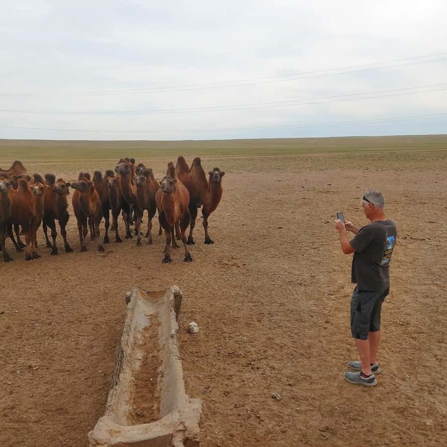 Ulaanbaatar: Khustai NP, Semi Gobi & Kharkhorin Tour - Day 1: From Ulaanbaatar to Khustai NP, Semi Gobi, and Dunes