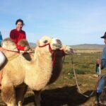 Ulaanbaatar: Semi-Gobi Desert Day Trip & Camel Ride - What’s Included and What’s Not