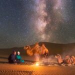 Ulaanbaatar: Small Group 3-Day Best of Central Mongolia Tour - What to Expect: Practical Tips and Insights