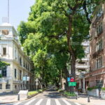 Ultimate 1-Day in Guangzhou: History, Flavor & Nightlife - Exploring Shamian Island: A Colonial Charm