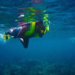 Ultimate Beginner Snorkeling Tour - Final thoughts: Who is this tour best suited for?