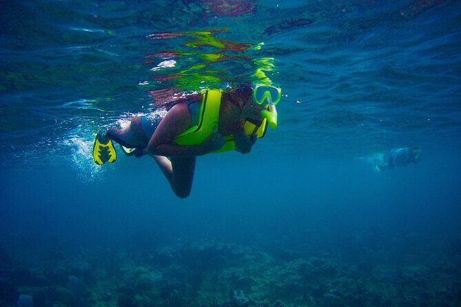 Ultimate Beginner Snorkeling Tour - Final thoughts: Who is this tour best suited for?