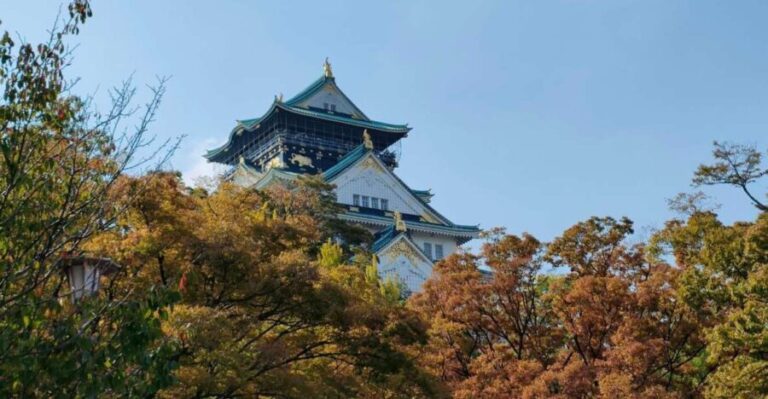 Ultimate Osaka Walking Tour - Castle, Shinsekai, & Dotonbori - What Travelers Say About This Tour