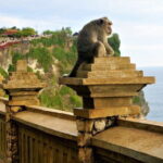 Uluwatu Temple and Kecak Dance Sunset Private Tour - What the Tour Offers in Terms of Value