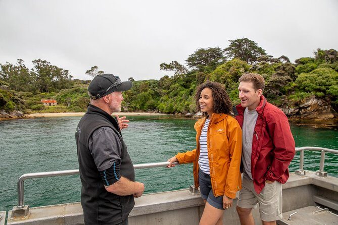 Ulva Island Explorer from Stewart Island - Ulva Island: A Birdwatchers Dream
