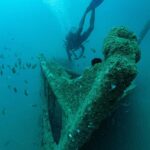 Unawatuna: Fun Dive with Gear and Guide for Certified Divers - Who Will Love This Experience?